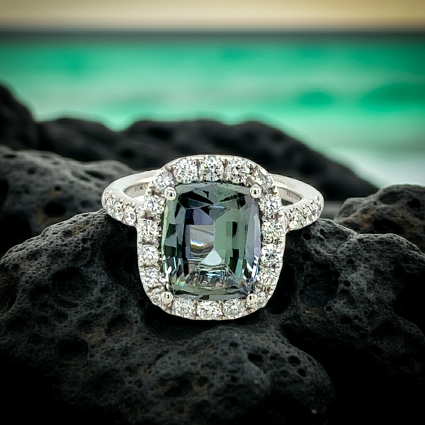 18KW Kupua Tanzanite Ring