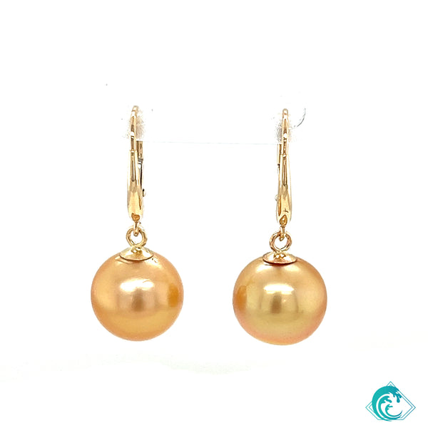 14KY Golden South Sea Pearl Kaia Earrings