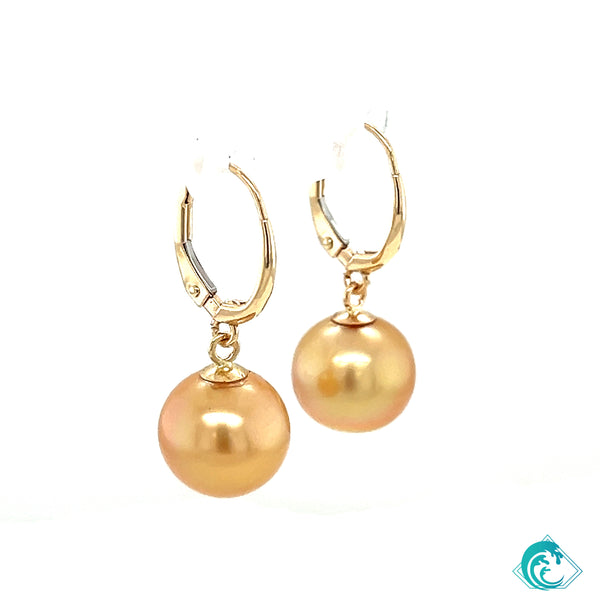 14KY Golden South Sea Pearl Kaia Earrings