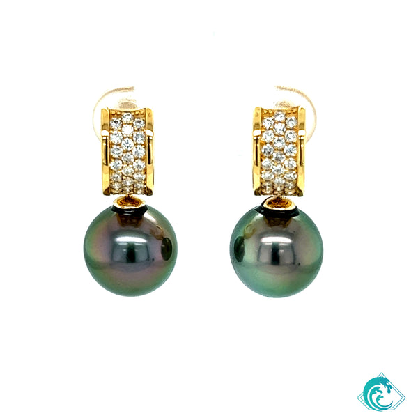 18KY Tahitian Pearl Akala Earrings
