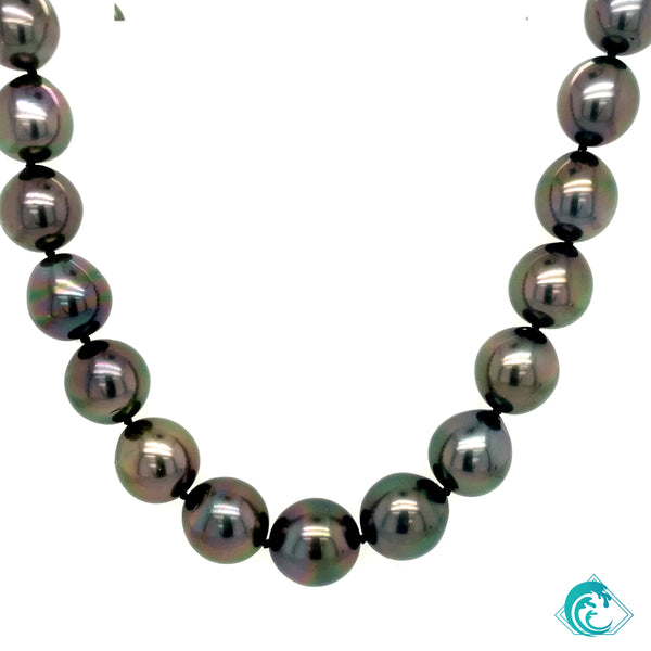 Aubergine Tahitian Pearl Strand