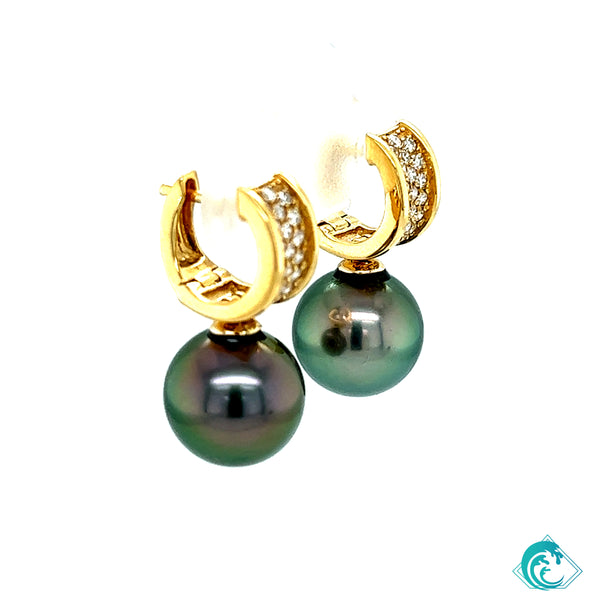 18KY Tahitian Pearl Akala Earrings