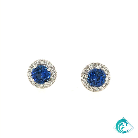 18KW Blue Sapphire Round Halo Stud Earrings