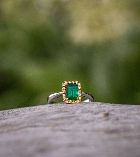 18K Two-Tone Gold Emerald Ring
