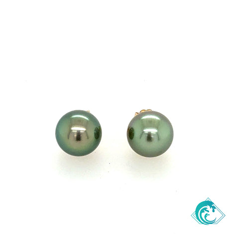 14KY Tahitian Pearl Stud Earrings