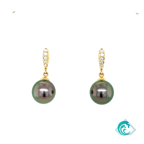 14KY Tahitian Pearl & Diamond Anini Earrings