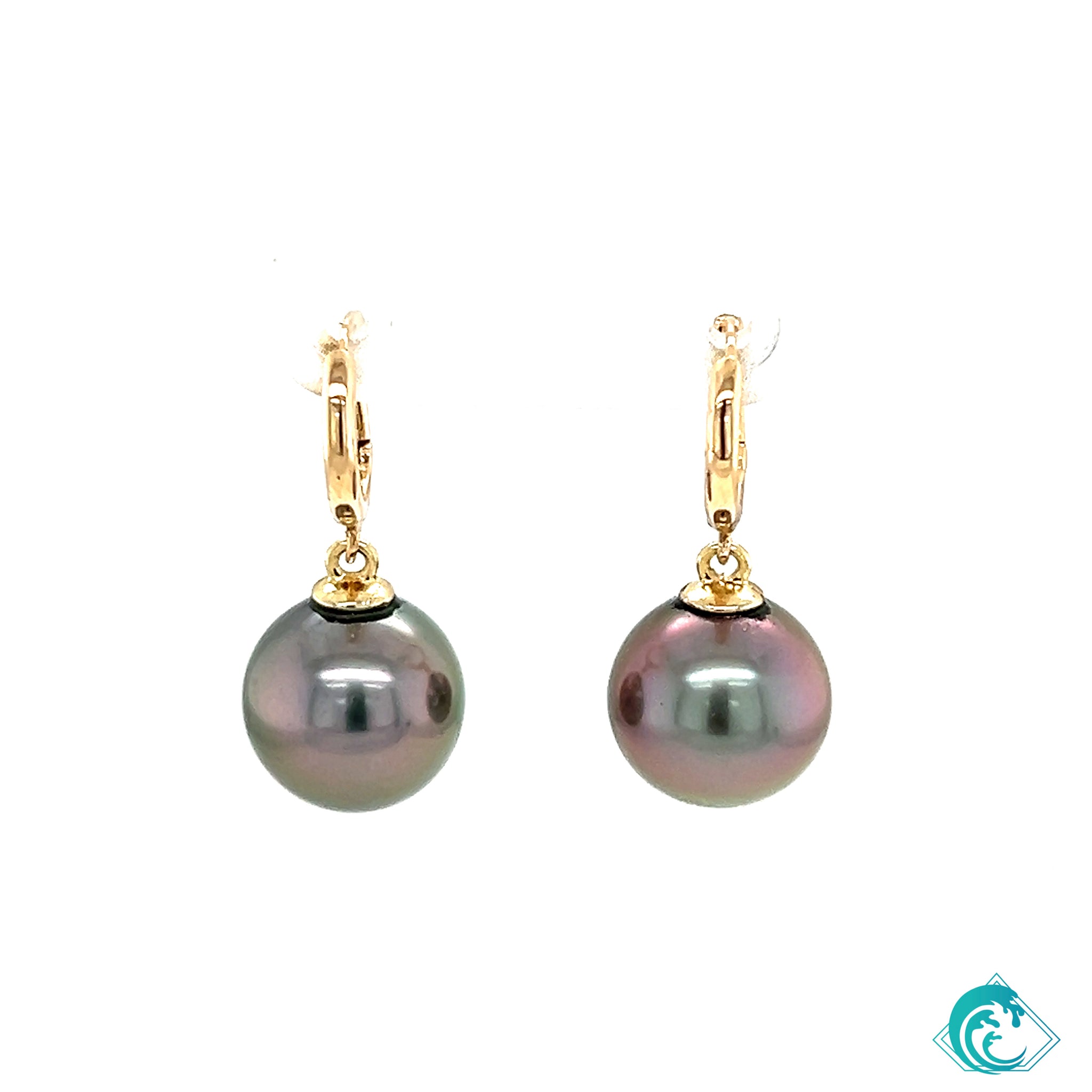 14KY Tahitian Pearl Huggie Hoop Earrings