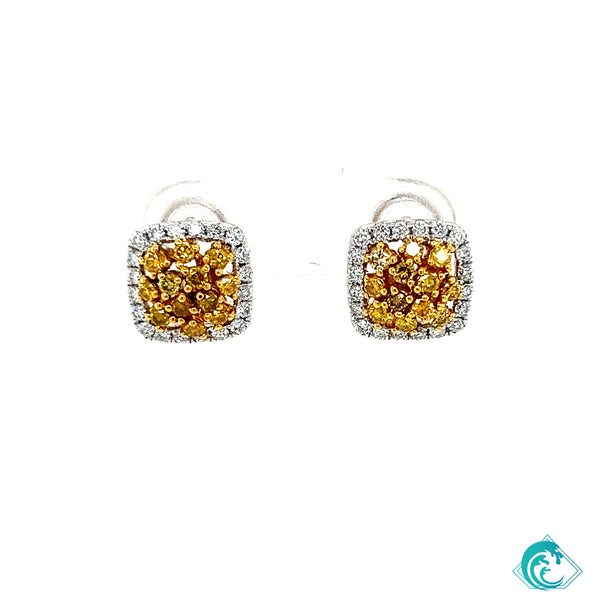 18KW Natural Yellow Diamond Stud Earrings