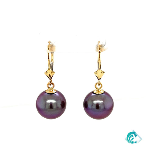 14KY Purple Edison Pearl Ani Earrings