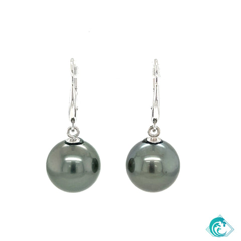 14KW Tahitian Pearl Kala Earrings