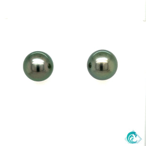 14KW Tahitian Pearl Stud Earrings