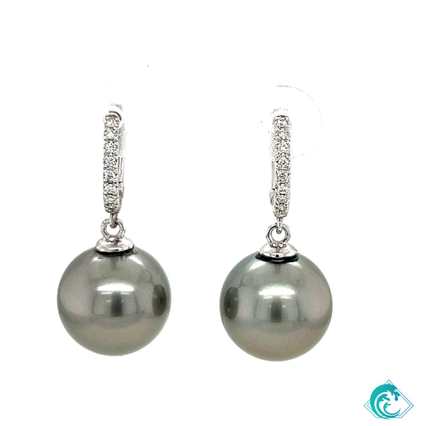 14KW Tahitian Pearl Lilo Earrings