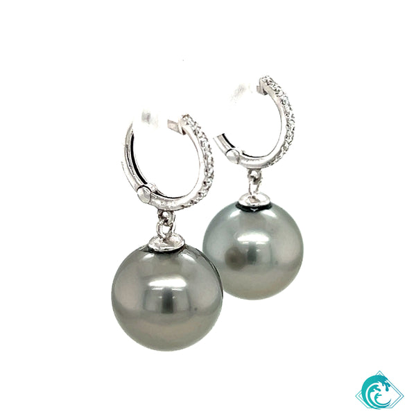 14KW Tahitian Pearl Lilo Earrings