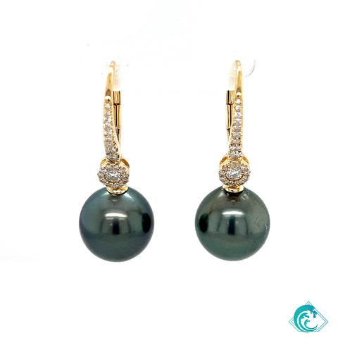 18KY Tahitian Pearl Layla Earrings