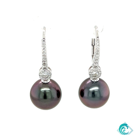 18KW Tahitian Pearl Layla Diamond Earrings