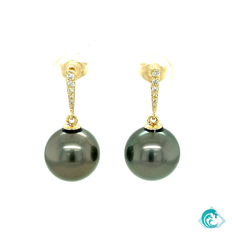 14KY Tahitian Pearl Halia Earrings