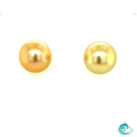 14KY Golden Indonesian Pearl Studs