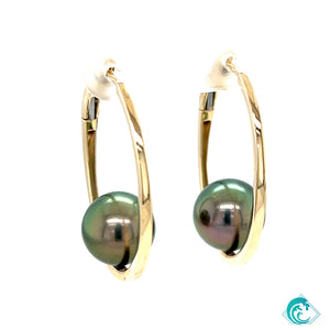 14KY Tahitian Pearl Hoop Earring