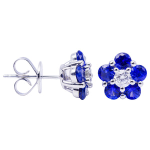 18K WG Blue Sapphire Stud Earrings
