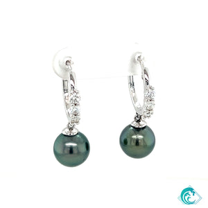 14KW Tahitian Pearl Triple Diamond Hoop Earrings