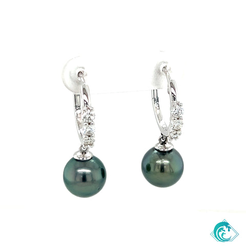 14KW Tahitian Pearl Triple Diamond Hoop Earrings