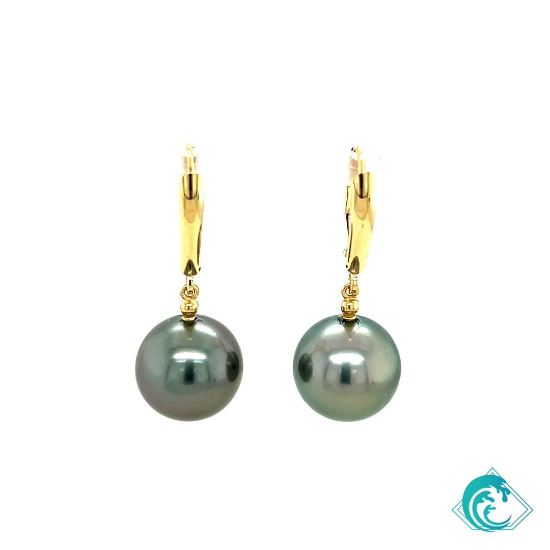 14KY Tahitian Pearl Kailua Earrings