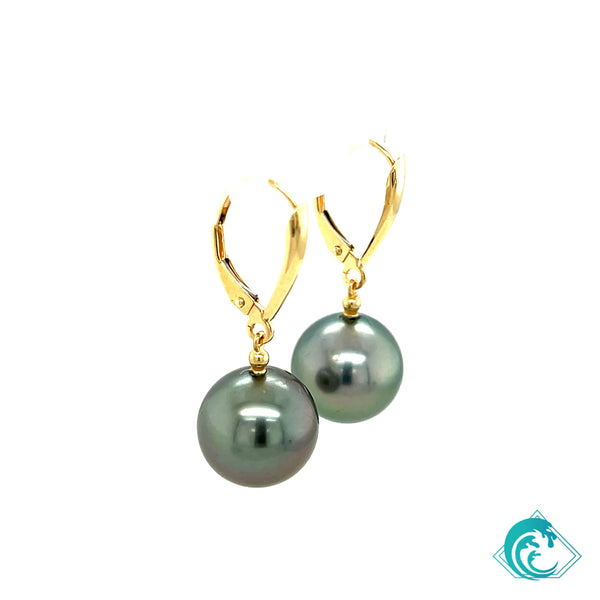 14KY Tahitian Pearl Kailua Earrings