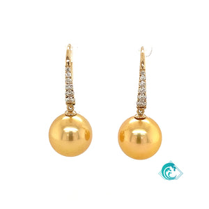 14KY Golden Indonesian Pearl Kalani Earrings