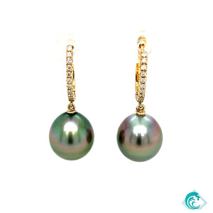 14KY Tahitian Drop Pearl Diamond Earrings