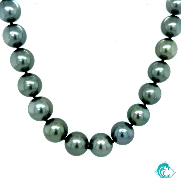 14K WG Hina Tahitian Pearl Strand