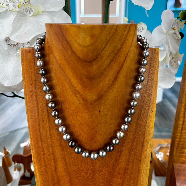 14K WG Sienna Tahitian Pearl Strand