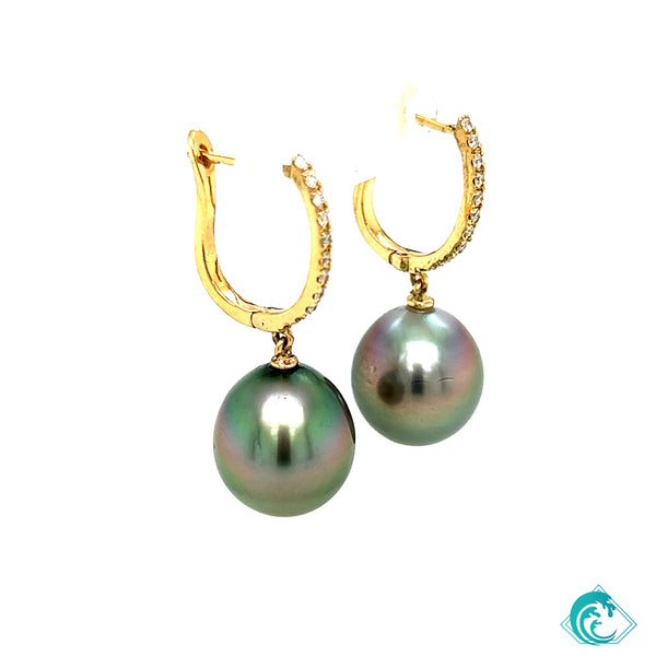 14KY Tahitian Drop Pearl Diamond Earrings
