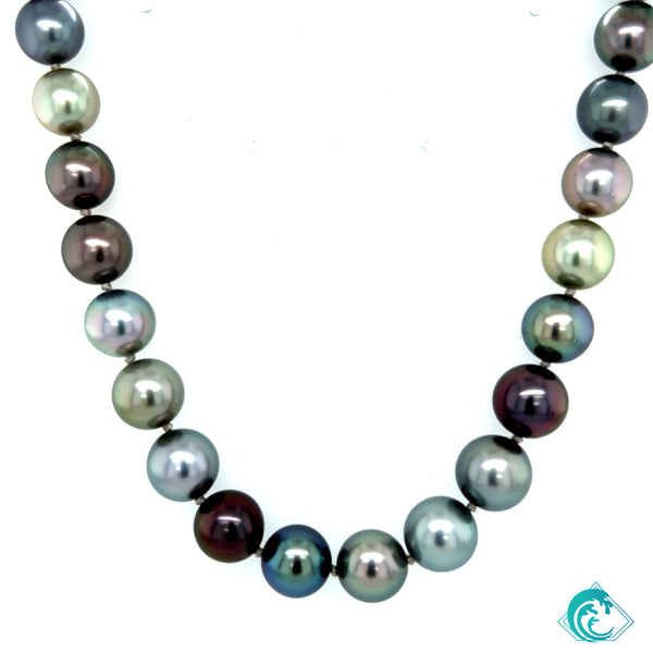 14K WG Sienna Tahitian Pearl Strand