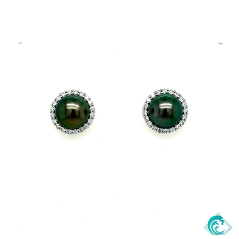 14KW Tahitian Pearl Diamond Studs