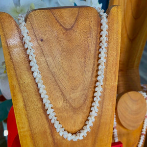 Hand Crafted Momi Shell Necklace 21'