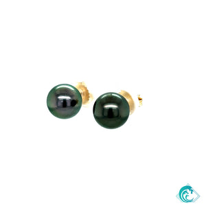 14K YG Tahitian Pearl Studs