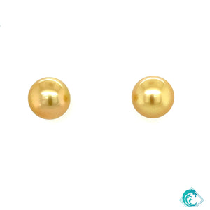 14KY Golden Indonesian Pearl Stud Earrings